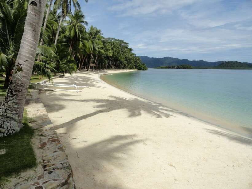 Port Barton: Island Hopping to Turtle Spot & Reef with Lunch - Twin Reef brings the best underwater payoff