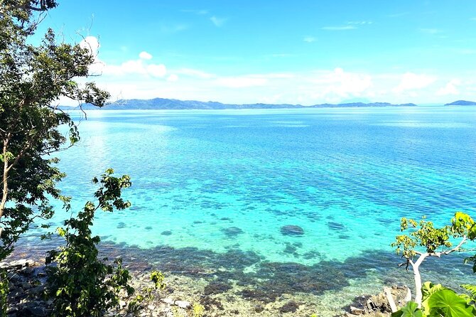 PortBartonDayTour - Snorkeling for Turtles and Twin Reef Views