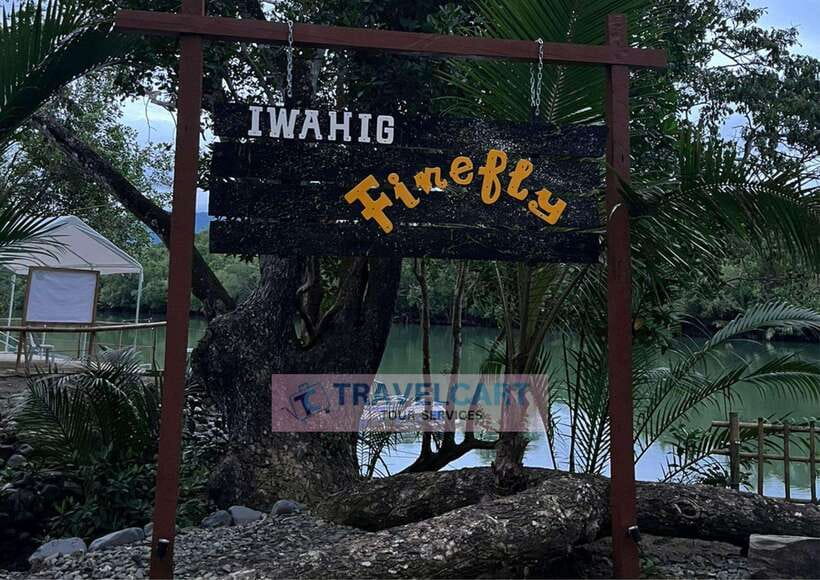 PPC IWAHIG Firefly Watching - Key things to know before you go