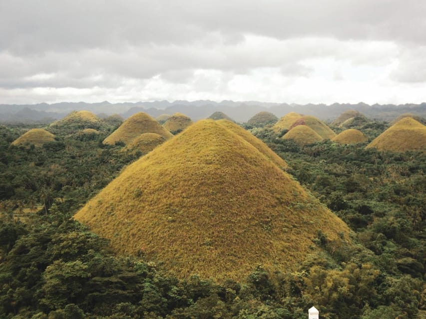 PREMIUM Cebu-Bohol Day Tour with Roundtrip Ferry Transfers - Why this Cebu to Bohol trip works