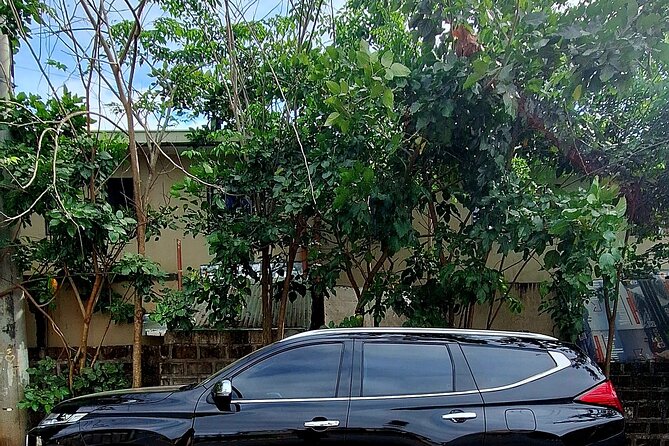 Private Airport Transfer Manila to Hotel in Manila or vice versa - Booking details that deserve attention
