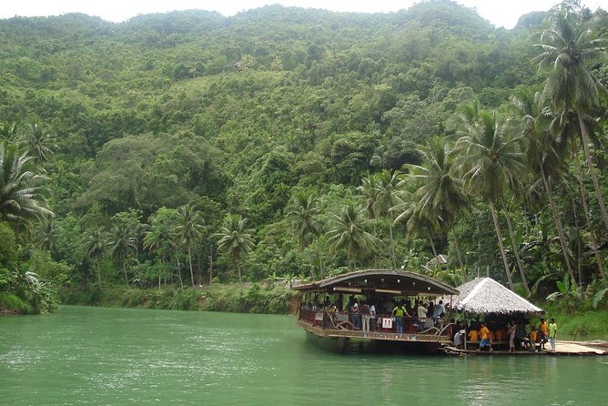 Private Bohol and Chocolate Hills with Loboc River Cruise - Passing through the Bilar Manmade Forest