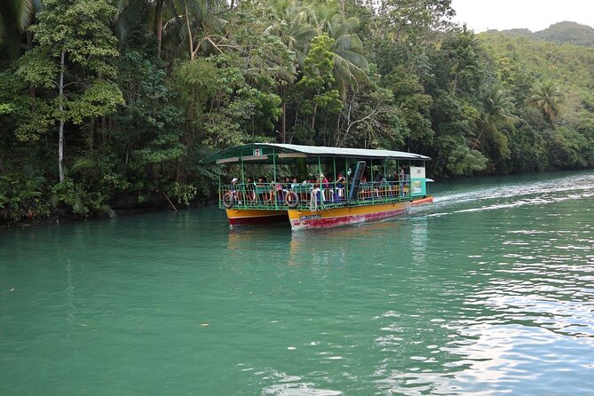 Private Bohol and Chocolate Hills with Loboc River Cruise - What the $107.70 price really covers