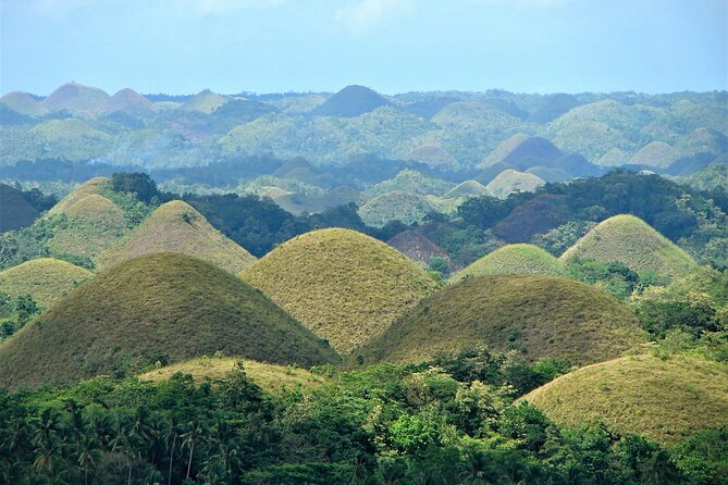 Private Bohol and Chocolate Hills with Loboc River Cruise - Starting with Bohol’s tiny tarsiers in Corella