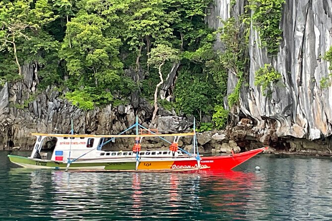 Private Coron Ultimate Tour - Coral Garden: bring the right equipment