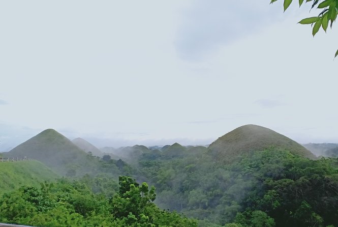 Private Day Trip Cebu to Bohol w/ Chocolate Hills & Loboc Cruise - Is $285 per person good value?