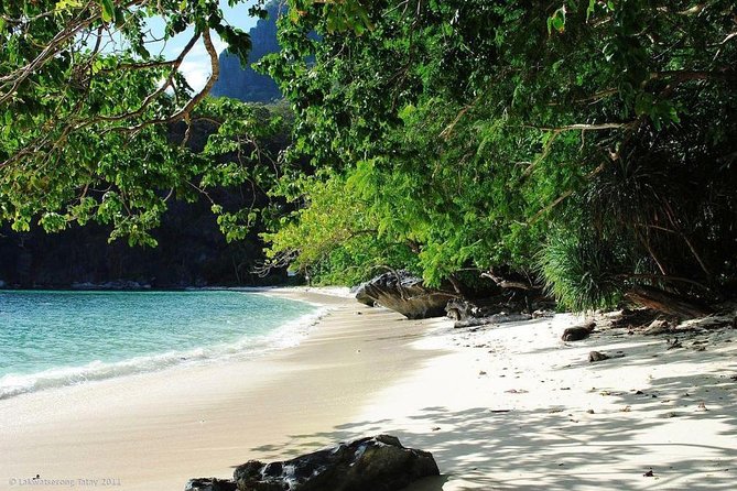 PRIVATE El Nido Tour D Island Hopping - The service warning you should take seriously