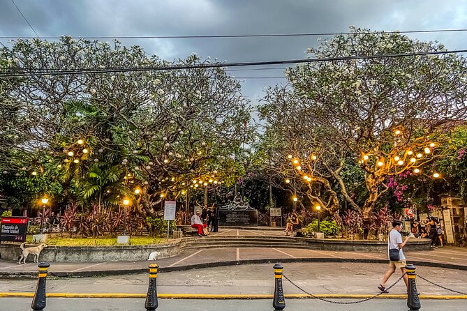 Private Manila Marvels Tour with Personalized Photo Journey - Rizal Park and three museums in two hours