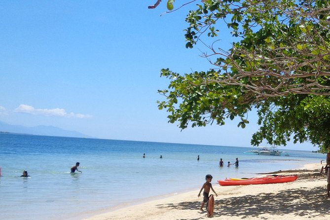 Private Puerto Princesa island tour: Shore excursion - Key points to know before booking