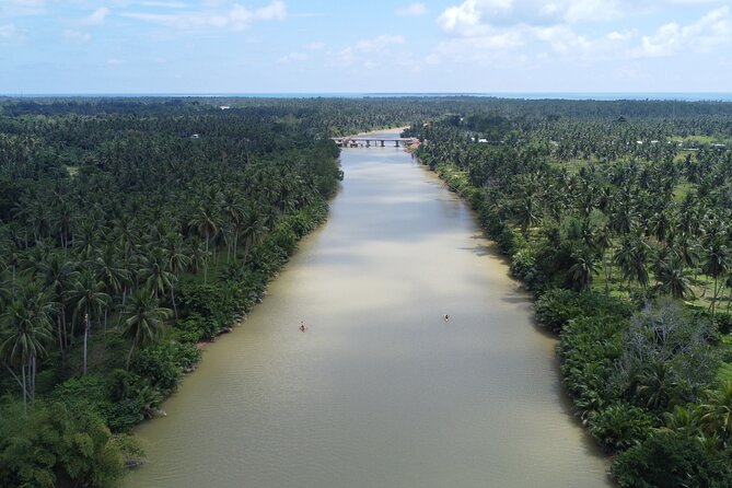 Private Puerto Princesa River Kayaking with Seaplane Transfer - What the river section offers nature lovers
