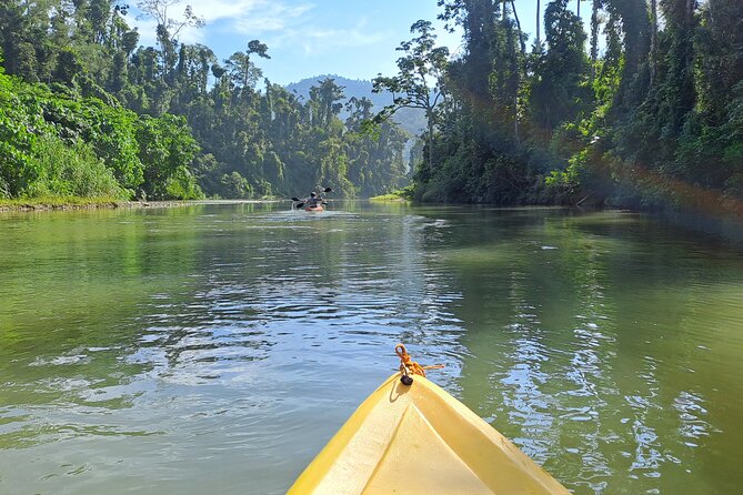 Private Puerto Princesa River Kayaking with Seaplane Transfer - Starting at Mercado de San Miguel