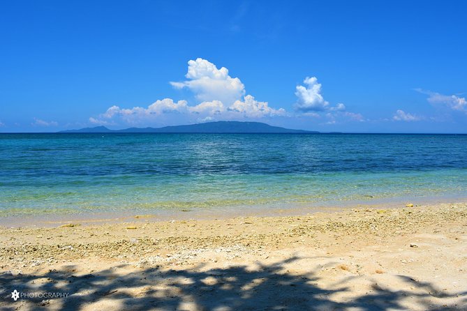 PUERTO GALERA Island Hopping & Snorkeling - Haligi Beach: the strongest first stop