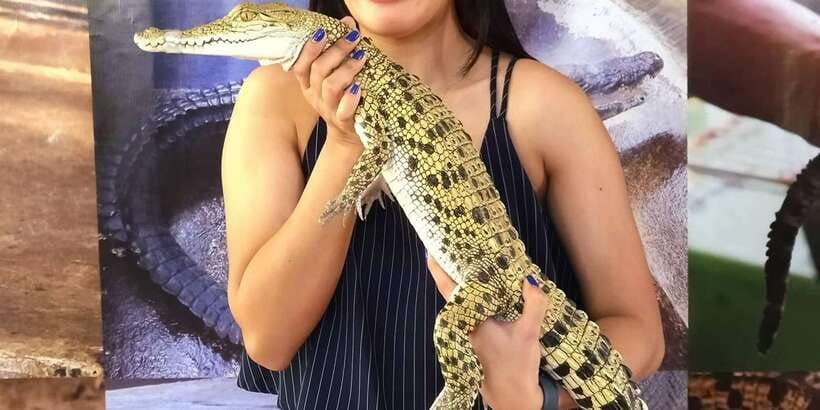 Puerto Princesa City Tour with Snacks - Who should book this city tour?