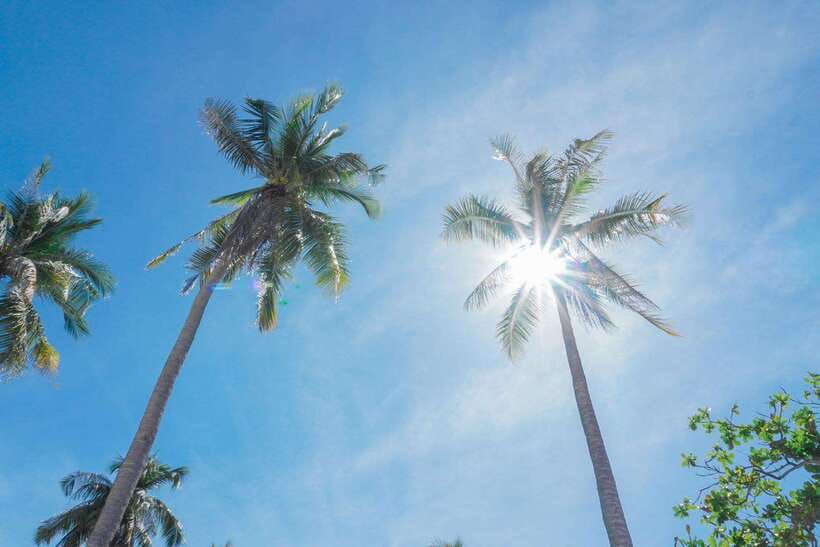 Puerto Princesa: Cowrie Island Guided Day Tour with Meal - Practical planning for a smoother day