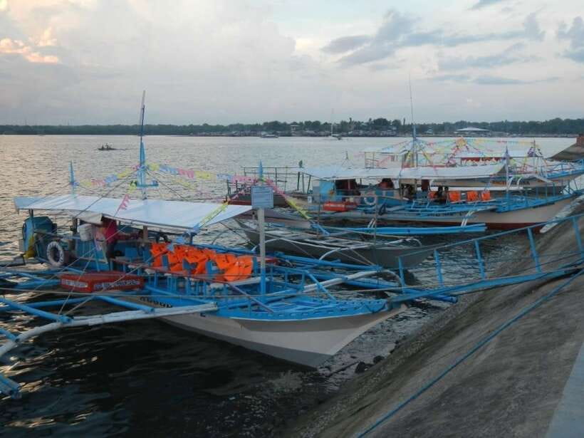 Puerto Princesa: Firefly Watching Bay Cruise with Dinner - Who should book this evening?