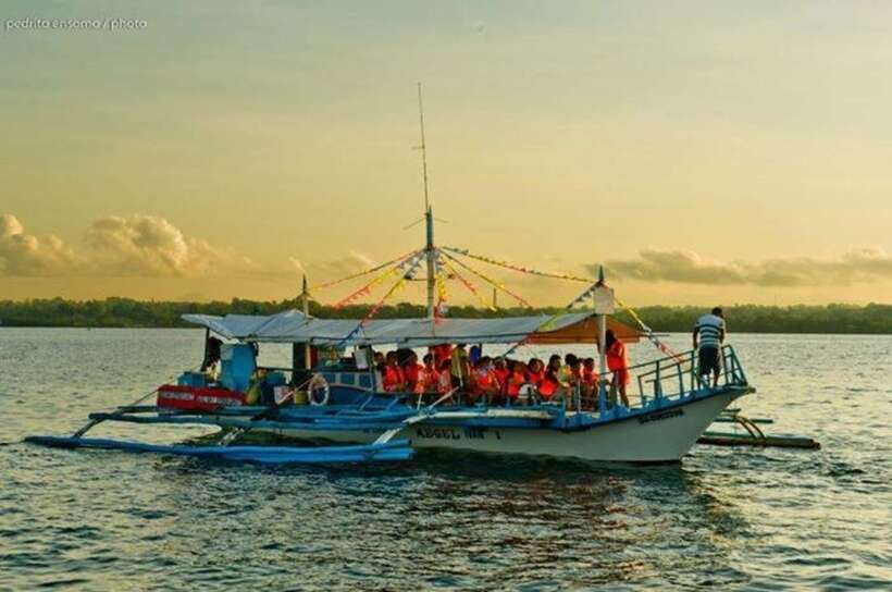 Puerto Princesa: Firefly Watching Bay Cruise with Dinner - Should you book the Puerto Princesa firefly cruise?