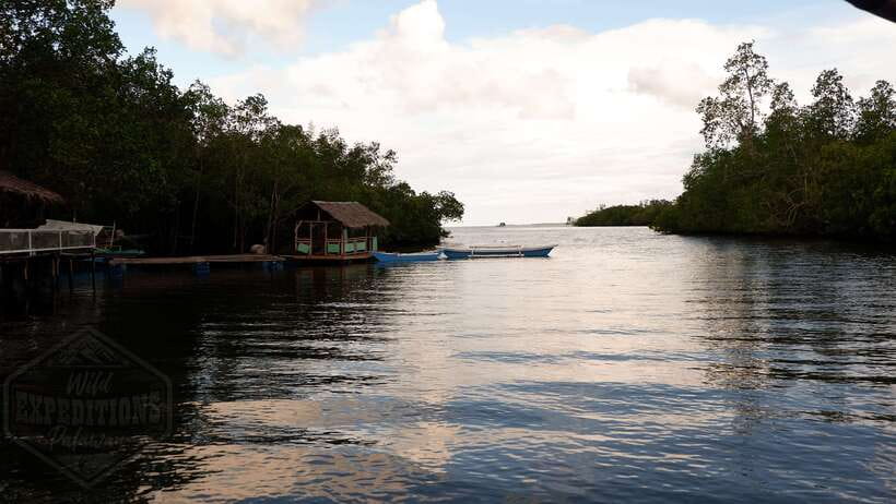 Puerto Princesa: Firefly Watching Paddle Boat Tour & Dinner - Key points to know before booking