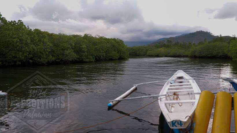 Puerto Princesa: Firefly Watching Paddle Boat Tour & Dinner - Why this evening works so well in Puerto Princesa