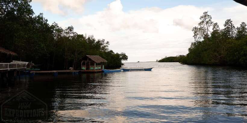Puerto Princesa: Firefly Watching Paddle Boat Tour & Dinner - What the guide adds to the river visit
