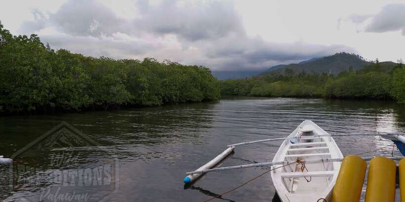 Puerto Princesa: Firefly Watching Paddle Boat Tour & Dinner - How much value do you get for $27?
