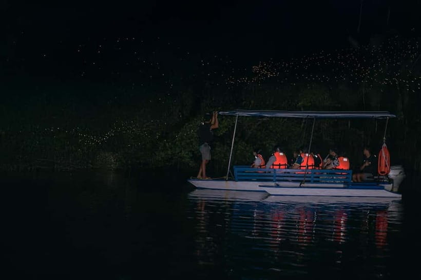 Puerto Princesa: Firefly Watching Tour with Dinner - When to go and what to bring