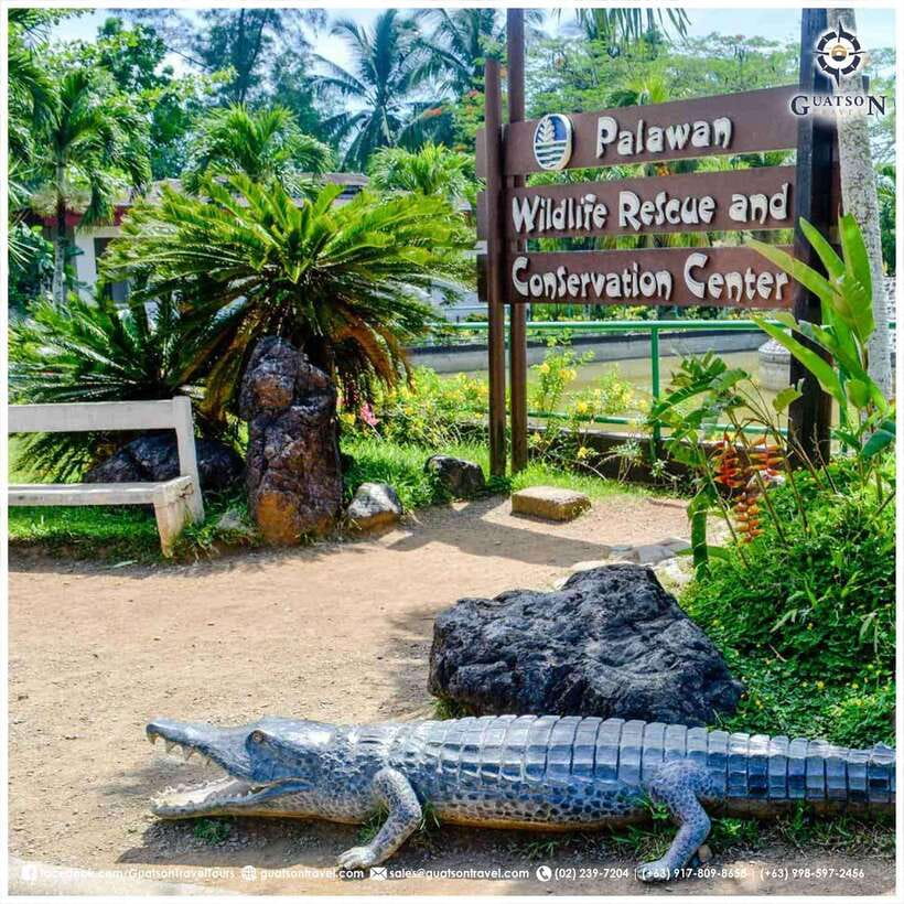 Puerto Princesa Half Day City Tour (shared tour) - What this Puerto Princesa tour is really for