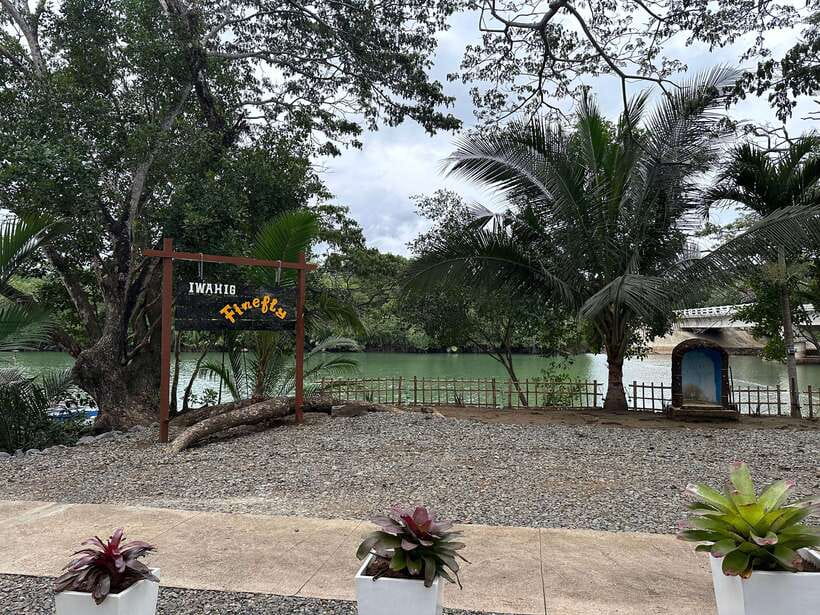 Puerto Princesa: Iwahig Firefly Watching & River Cruise - The Guide Can Make or Break the Evening