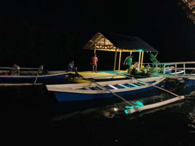 Puerto Princesa: Jungle Firefly Watching Boat Tour & Dinner - The 4:30 PM pickup and ride from the city