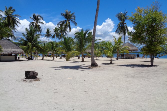 Puerto Princesa Palawan 4d3n Rm with Tours - Day 1: Puerto Princesa’s history, snacks, and animal stops