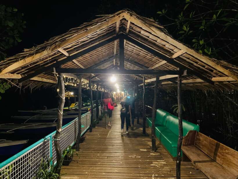 Puerto Princesa: Underground River and Firefly Watching Tour - Who should book this Puerto Princesa tour?