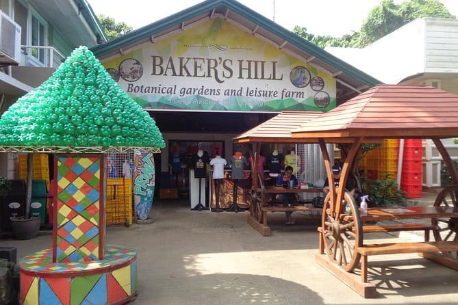 Puerto Princesa Underground River Day Tour - Lunch and the value of the $49 price