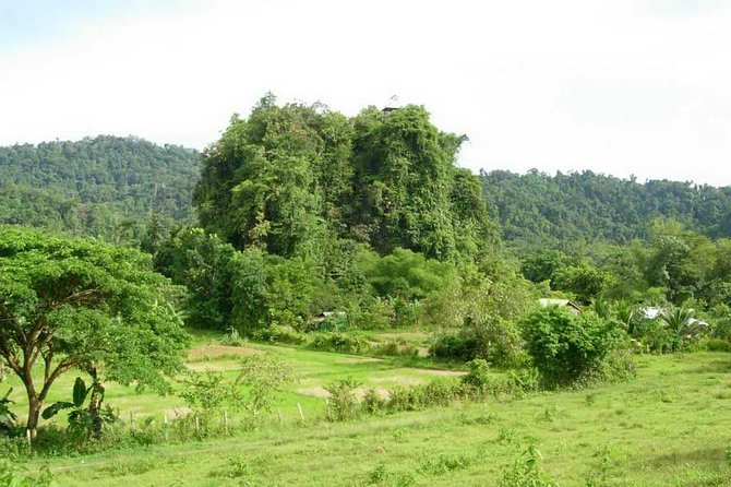 Puerto Princesa Underground river excursion tour UNESCO - The 90-minute road journey from Puerto Princesa