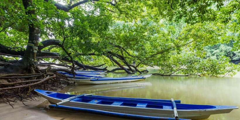 Puerto Princesa Underground River Tour in Palawan - The guides, drivers, and group experience