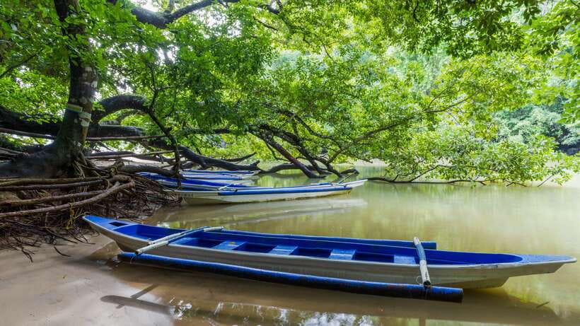 Puerto Princesa Underground River Tour in Palawan - The early Puerto Princesa pickup