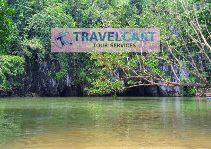 Puerto Princesa Underground River Tour with Zipline - Flying above the coast with monkeys nearby