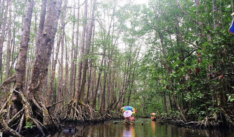 Puerto Princesa: Underground River, Zipline, Paddleboat Tour - Who Will Enjoy This Sabang Day Trip?