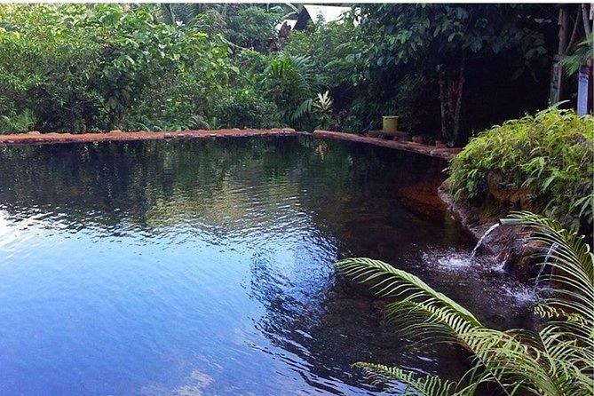 Pulangbato Falls Tour & Hot Spring From Dumaguete - What the private format changes