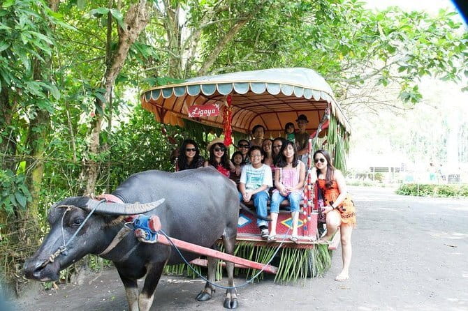 Sagada and Banaue Rice Terraces 4-Day Tour - The Guide Can Make the Difference