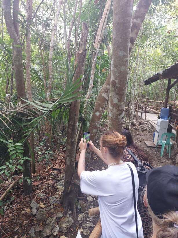Sardines, chocolate hills, tarsiers, ATV,floating restaurant - The real price of the experience