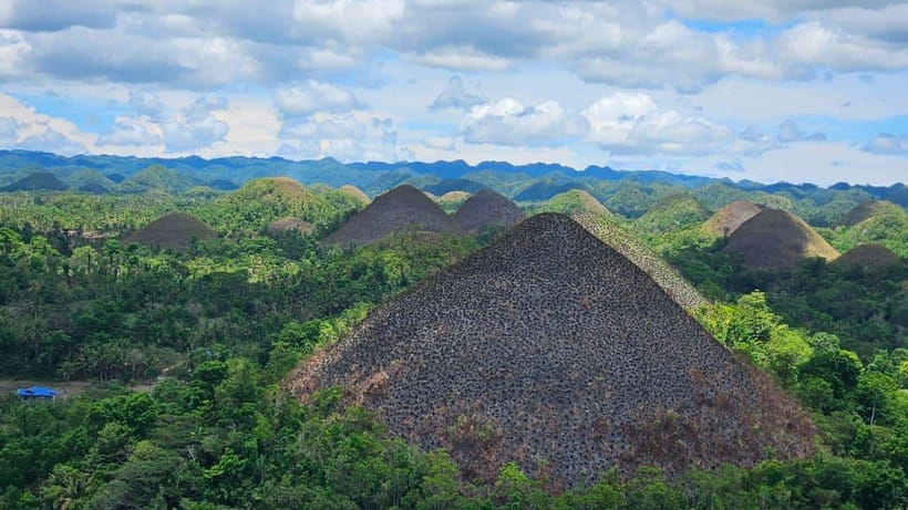 Sardines, chocolate hills, tarsiers, ATV,floating restaurant - What this Bohol day trip is trying to do