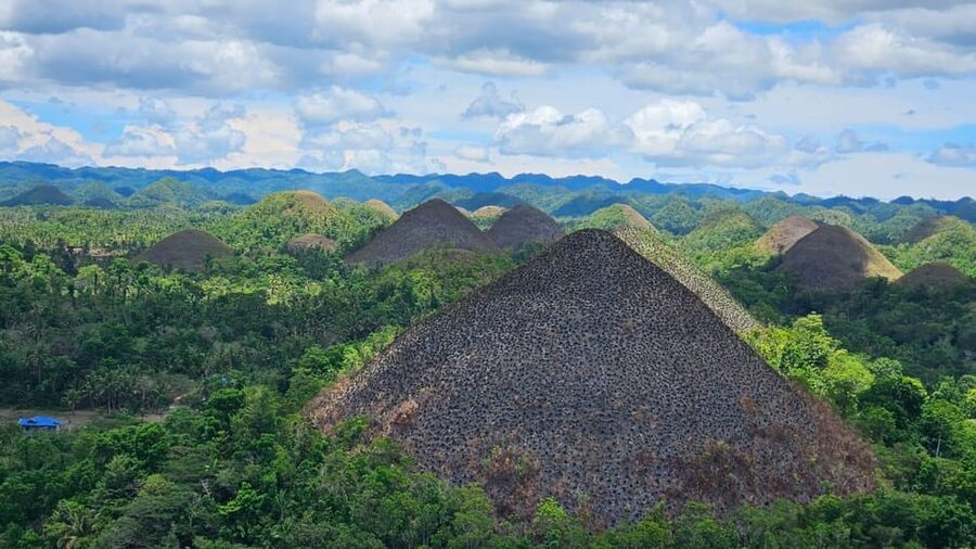 Sardines, chocolate hills, tarsiers, ATV,floating restaurant - Ziplining 100 meters above the Loboc River