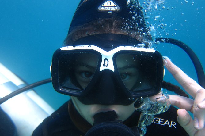 Scuba Diver Course (PADI) - Key points at a glance