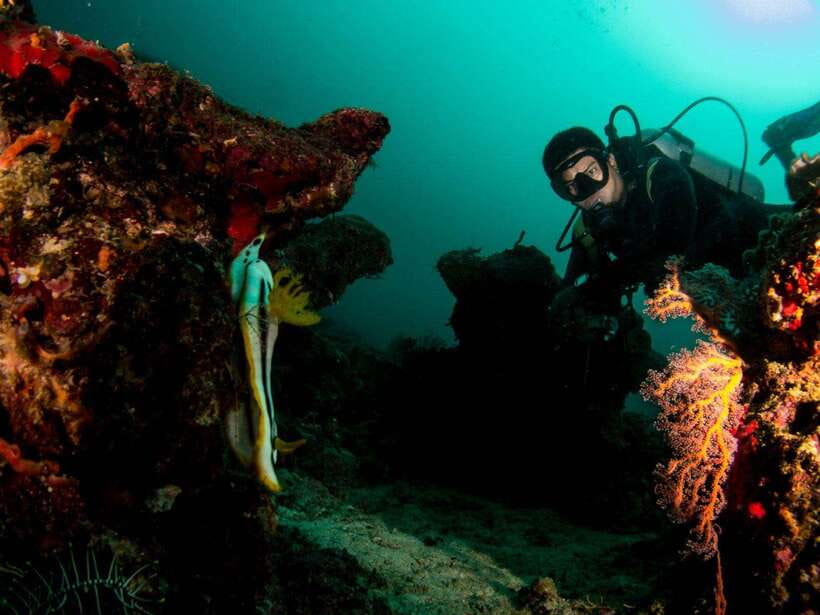 Scuba Diving in Boracay: SSI Basic Diver for Beginners - The First Underwater Session