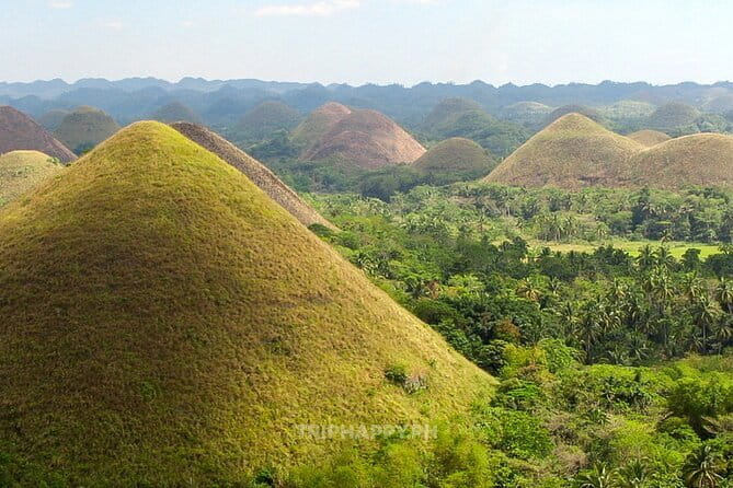 Shared Bohol Countryside Highlights Tour - Why This Tour Works for a First Bohol Visit