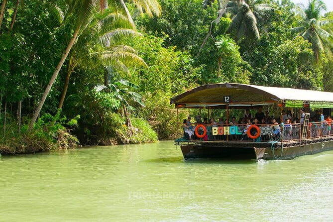 Shared Bohol Countryside Highlights Tour - Tarsiers at the Conservation Area