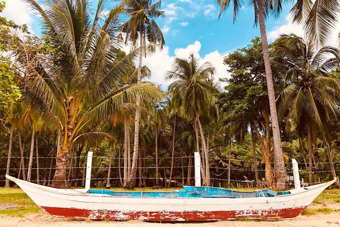 Shared Honda Bay Island Hopping Tour - Lu-Li Island: one hour for water and hammocks
