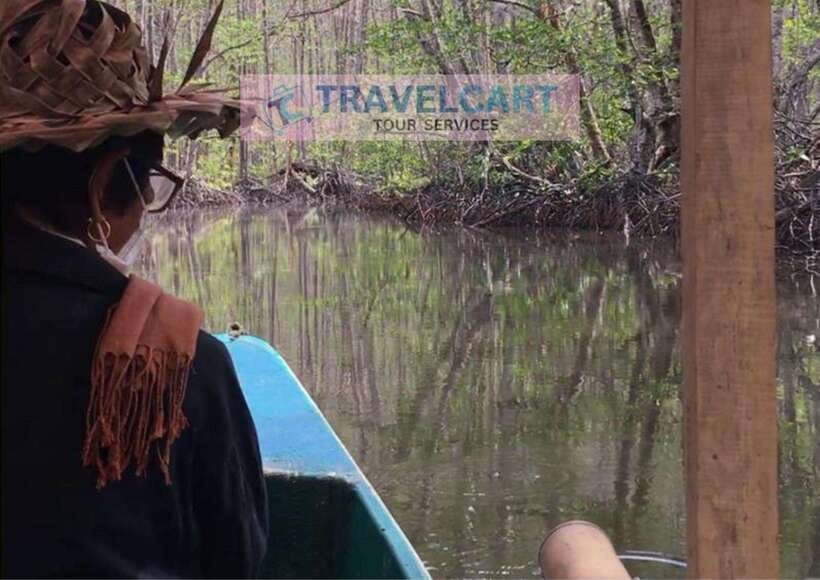 Shared Underground River with Mangrove Paddle Boat & LUNCH - Why this day trip works