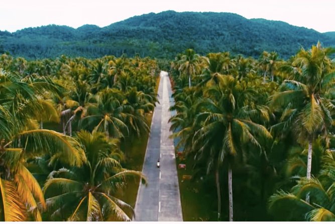 Siargao Land Tour - Coconut views and the road between stops