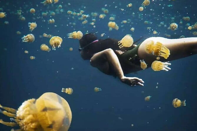 Siargao Private Sohoton Bucas Grande Tour with Lunch - Key points to know before you book