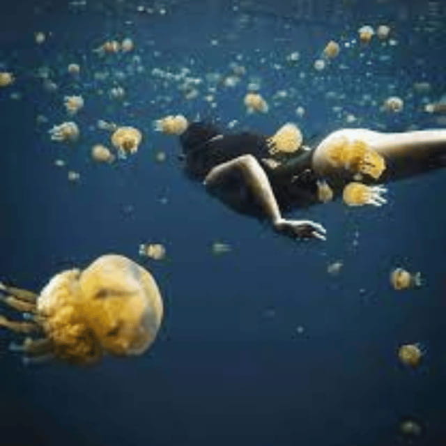 Siargao:Sohoton Island Hopping Tour with Jellyfish Sanctuary - Magkukuob Cavern and Physical Activity